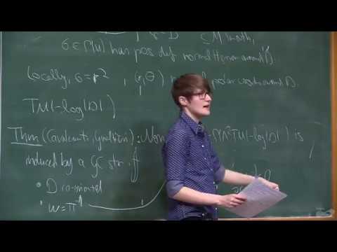 International Conference on Poisson Geometry - Charlotte Kirchhoff-Lukat - Towards wrapped Floer...