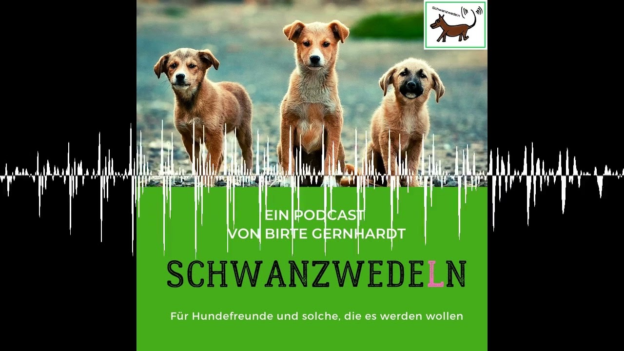 101 Zahnarztpraxis mit Hund - Hund beruhigt Angstpatienten - Schwanzwedeln