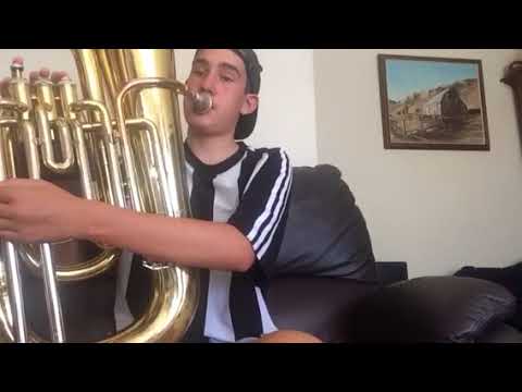 Play Bad Romance On The Tuba