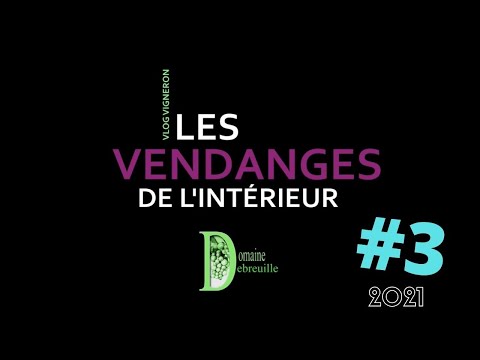 VLOG VIGNERON #3 Tout le monde à la douche, les raisins arrivent !