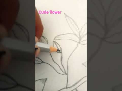 ##flowers looks so cute it also feels some happiness in our life ##