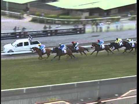 Acuppa - Robbie Burke (5th win) - Mohammad Moorad Keerpah - Free Horse Racing Tips