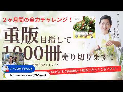 医療ビジネス薬科学科 「がんばらないハーブごはん」ウィークリー売上報告会＆ローズゼラニウム活用方法