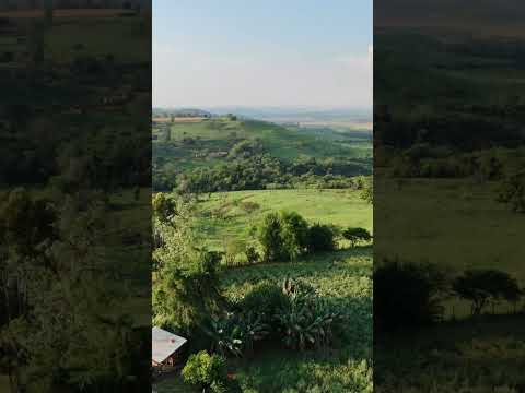 #music #4k #drone #djibrasil #dji #maringa #imobiliaria #agro #marialva #parana