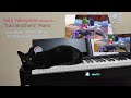 Sad Brothers 🎼 Seiji Yokoyama 🌠 SAINT⭐️SEIYA 🎹 Piano