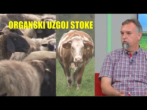 ORGANSKO STOČARSTVO - moguće je ALI IMA DOSTA USLOVA  - evo kako se radi ...