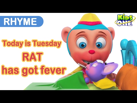 TODAY IS TUESDAY and RAT has got FEVER | English Nursery Rhymes Compilation for Children
