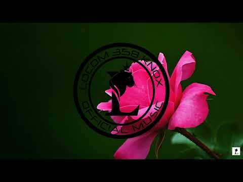 Goulam x Phyllisia x Visa x Dj LOCOM 358 KNOX -  Zouk REMIX 2K23