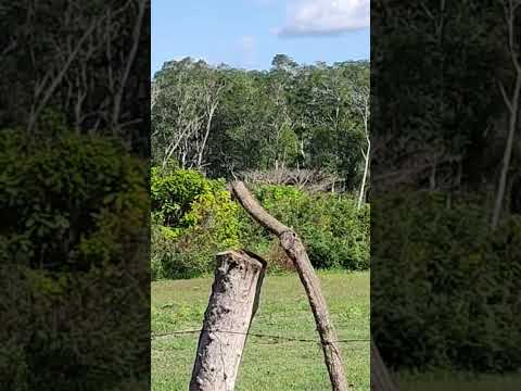 Cantón San Felipe, Jucuarán, Usulután...
