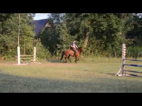 Hucuł S-Pedro 13.08.2015 Skoki na cordeo