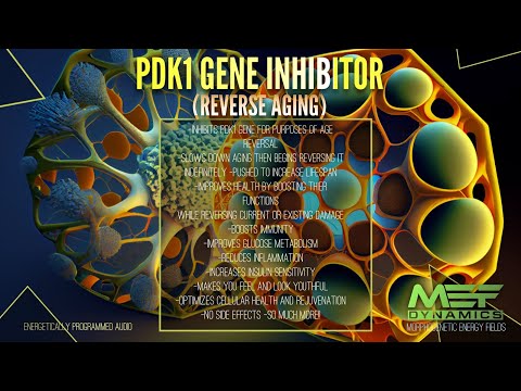 (Reverse Aging) PDK1 Gene Inhibitor (Scientifically Proven)