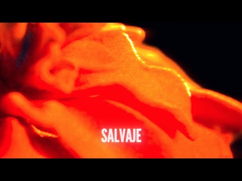 Video thumbnail for Salvaje