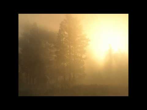 Jason Bradberry - Sunrise ( Exoplanet remix)