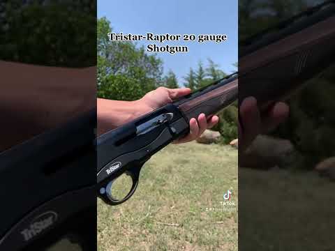 Recoil and Reliability of Viper G2