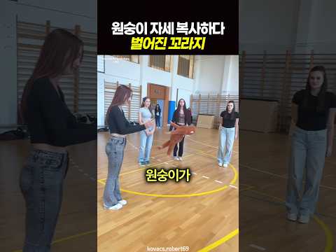 원숭이 자세 복사하다 벌어진 꼬라지