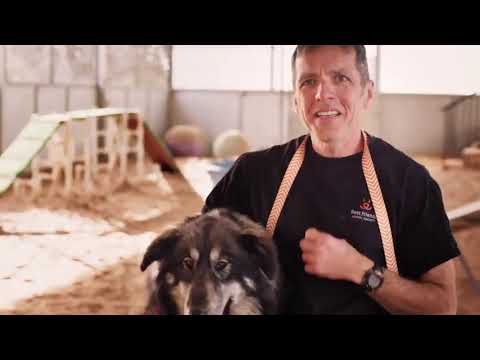 Nature's Variety Instinct Raw Grain-Free Freeze Dried...