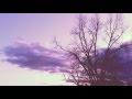 D'Arline - The Civil Wars "cover"