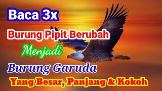 Download lagu Nama Semula Jadi Zakar Alias Mr P || Original Name Of Zakar Or ββMr P mp3 Download lagu Nama Semula Jadi Zakar Alias Mr P || Original Name Of Zakar Or ββMr P mp3