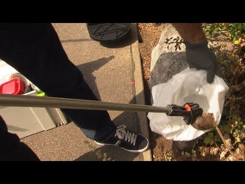 Wie es wimmelt: Rattenplage in Berlin | SPIEGEL TV