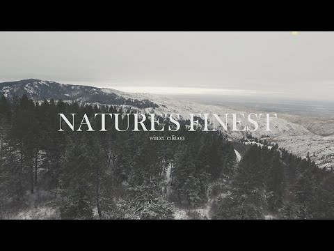Nature's Finest - Winter Edition