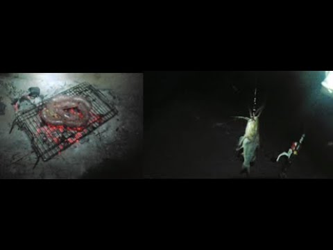 Pesca sobre el puente malvinas Argentinas de La Para por ruta E 52 (segunda parte)