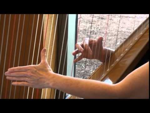 Promotional video thumbnail 1 for Susan W. Haas, Harpist