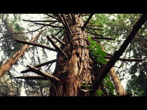 8Dio Scoring Contest - [Nicolas Stackhouse]