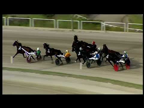 Napoli Trotto 02/10/2022 - 7ª corsa - G.P. Lotteria - consolazione