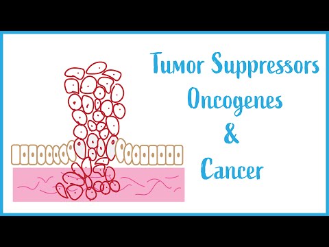 Tumor suppressors, Oncogenes and Cancer Biology (USMLE Essentials)