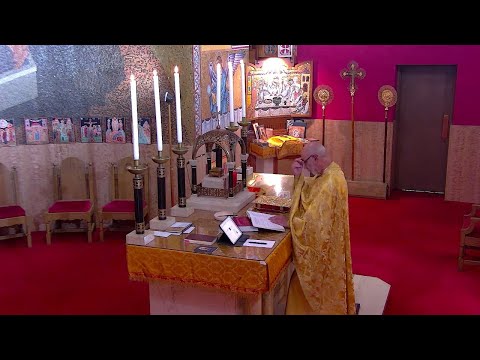 Greek Orthodox LIVE (11/23/25) 9th Sunday of Luke Orthros and Divine Liturgy