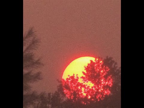 [FREE] Isaiah Rashad x Mick Jenkins Type Beat 2022 - Zoned Out