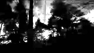 Jonjo Feather - Paper Mache Stars