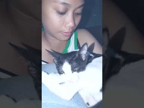 Paano sa mawala timbang na may exercise Status tungkol sa kung paano Nabawasan ako ng timbang