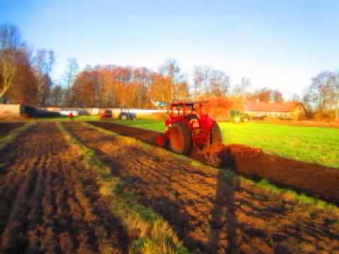 Mccormick IH 624 in full action!