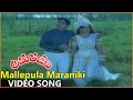Mallepula Maraniki Video Song Amarajeevi Movie ANR Jaya Pradha Sumaltha Sharath Babu