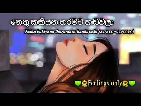 𝑵𝒆𝒕𝒉𝒖 𝒌𝒂𝒌𝒊𝒚𝒂𝒏𝒂 𝒕𝒉𝒂𝒓𝒂𝒎𝒂𝒕𝒂 𝒉𝒂𝒏𝒅𝒂𝒘𝒂𝒍𝒂(නෙතු කකියන තරමට)-𝑺𝒍𝒐𝒘𝒆𝒅+𝑹𝒆𝒗𝒆𝒓𝒃𝒔
