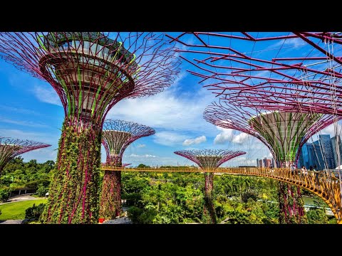 Gardens by the Bay, Supertrees – Ausgewähltes Projekt