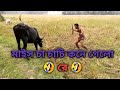 Bangla Comedy Song Dj Star Pbk 2020