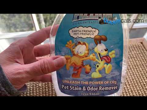 Jackson Galaxy Stain and Odor Remover - Fizzion Spray Review Video