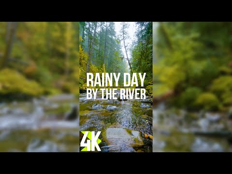 Rainy Autumn Day by the Forest River - 4K Vertical Screensaver - Calming Sounds + Relaxing Music