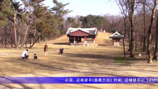 preview picture of video '2011.11.13 파주삼릉과 하니랜드 (Paju Samneung [UNESCO World Heritage] & honey-land)'