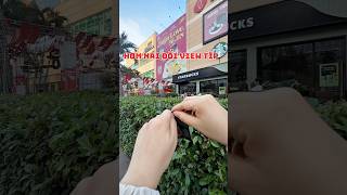 Coi có khá hơn không !#pokemon #packbattle #tcgpokemon #pokemoncards #unboxing #momote #sontungmtp