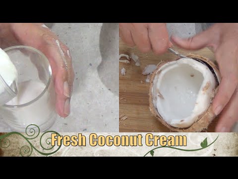 download lagu mp3 mp4 Real Coconut Cream, download lagu Real Coconut Cream gratis, unduh video klip Real Coconut Cream