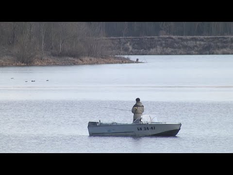 Лов рыбы в Гомельской области запрещен видео