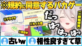 古のネットミームを交えた”ただ利用規約に同意し続けるバカゲー”にゲラ笑いが止まらない相性が良すぎるししろん面白まとめ【獅白ぼたん ホロライブ 切り抜き Vtuber】