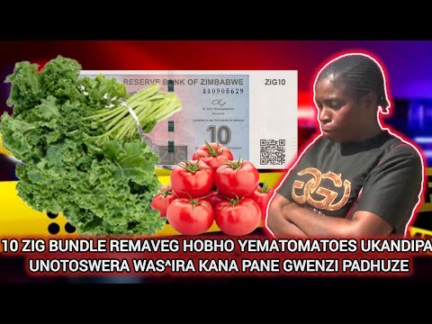 MUREHWA FEMALE BALTASAR NEMUKWASHA TAIROVANA NYOR^ NDINONYEGESA CHERO UNE 10 ZIG MADOMASI KANA MAVEG