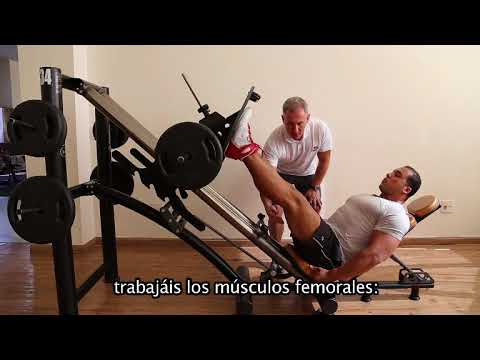 Leg Extension Machine Exercise (Part 1)