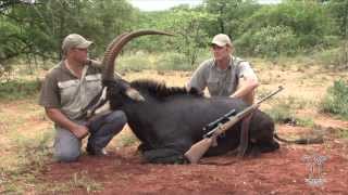 preview picture of video 'Garamtata Safaris Sable Hunt Limpopo Province South Africa'