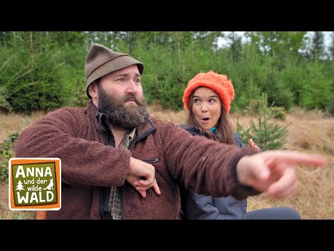 Ein Wolf namens Woife | Reportage für Kinder | Anna und der wilde Wald #5