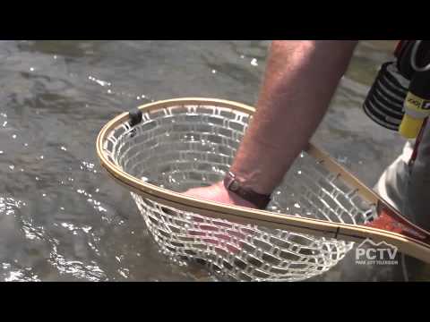 PC Anglers Fly Fishing Tip: Match The Hatch